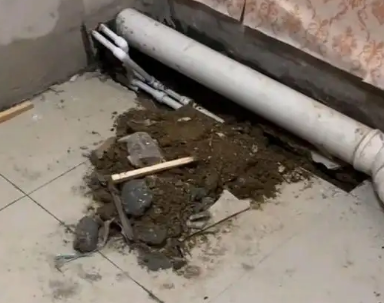 罗城卫生间漏水检测哪家好